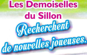 Les Demoiselles du Sillon recrutent  