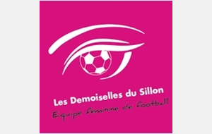 Les U18 Féminines en Finale du DISTRICT DE LOIRE ATLANTIQUE