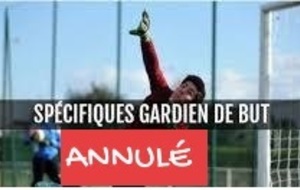 Annulation Gardien de but 20-11-2019