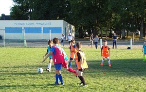 5b995d9fbfefd_15384921.jpg