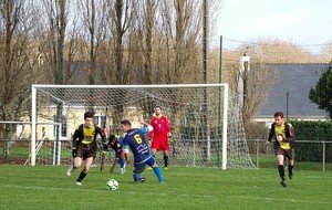5c0d74755e284_4.jpg
