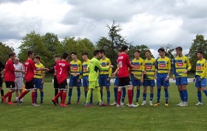 5cd9c411dfb49_1.jpg
