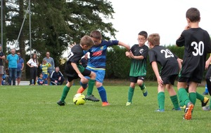5d865b0bdfc1f_P1100633.jpg