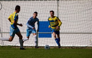 5f6de95fccd5d_P1110773.jpg