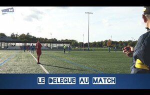 Le délégué au match