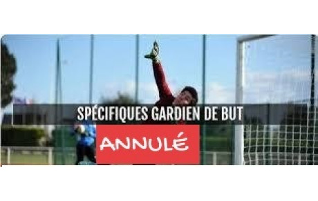 Annulation Gardien de but 20-11-2019