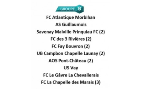 Le groupe de championnat de nos Seniors B